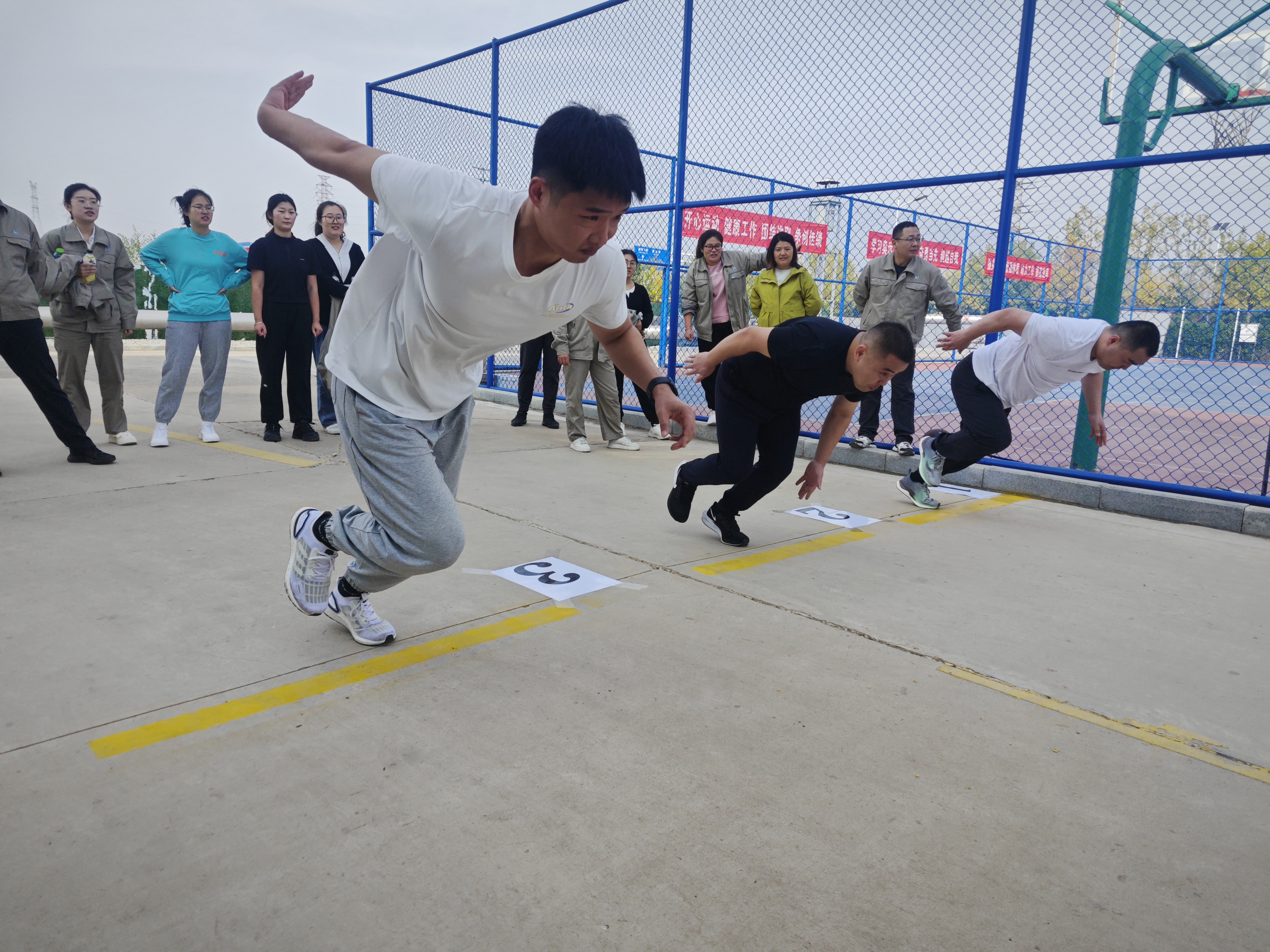 d1187a81d39ca3c27ed55845eafa335c