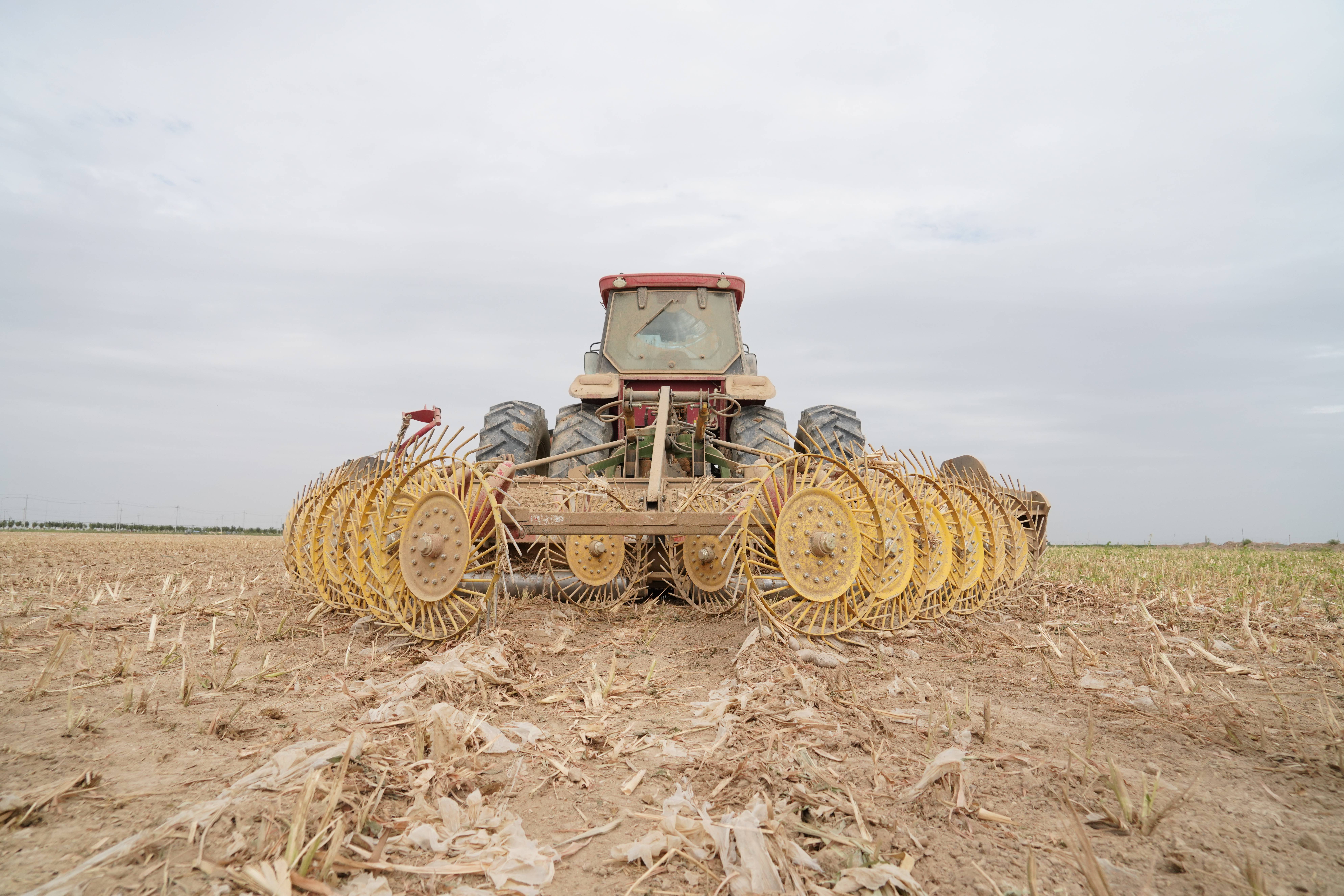 13319b31b05fa0c68ebc02a13ac0e647