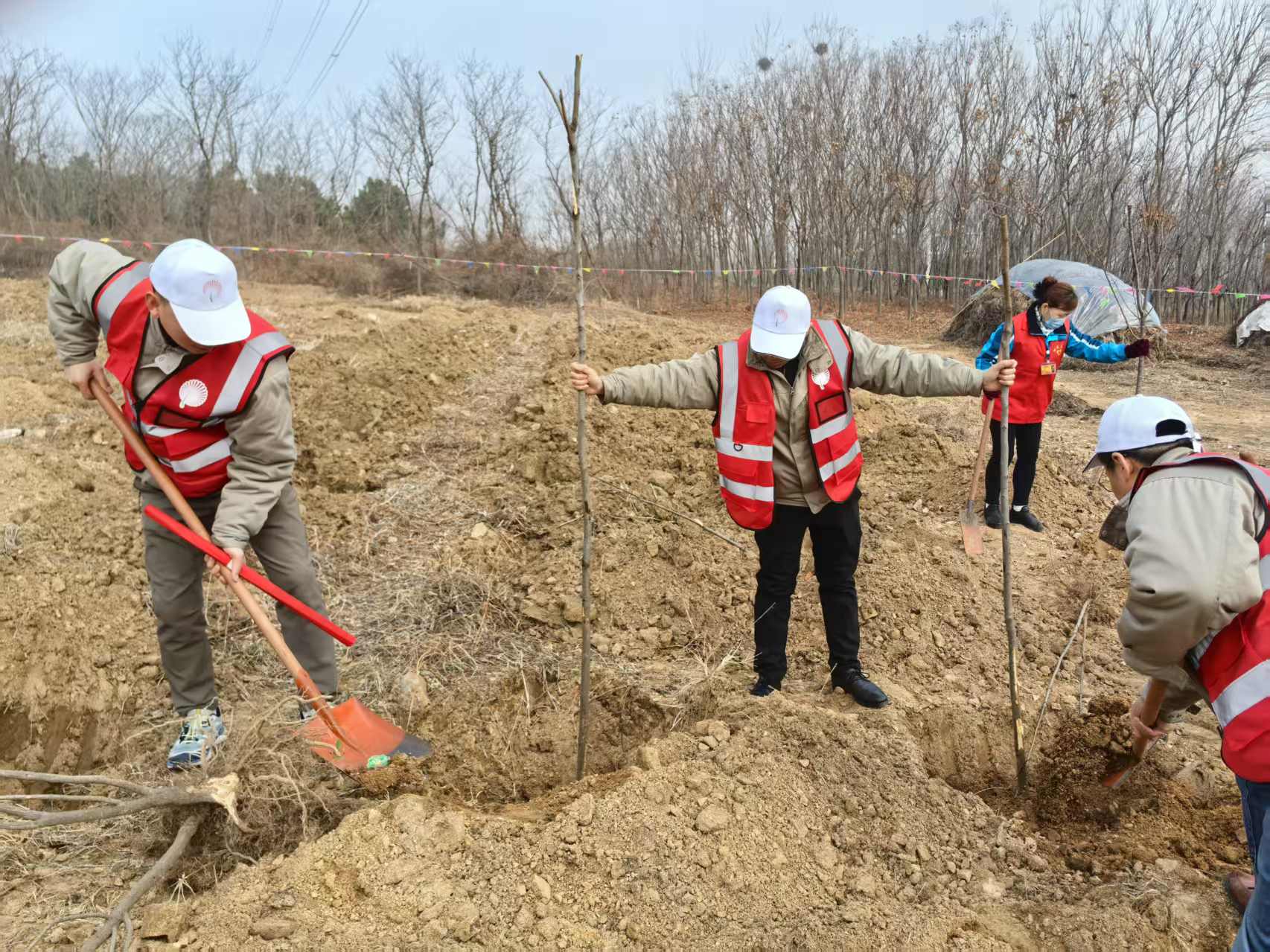 3e0185ee8189e9a7bce65e408a16ef3a