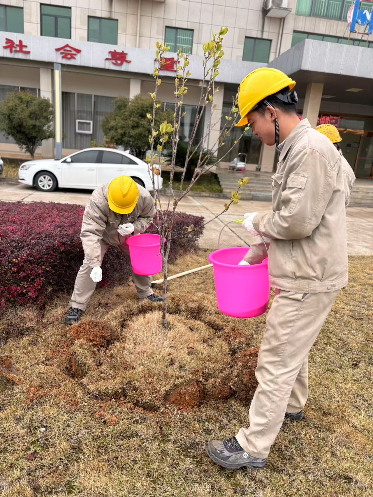 d08514f460724dcc66e8da4f8e35f682