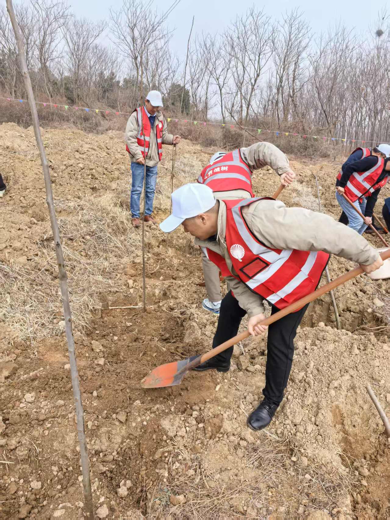 e1e316c080083004c4ab4efa97849f8b